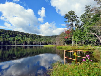 picture taken during a hike