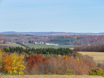 picture taken during a hike