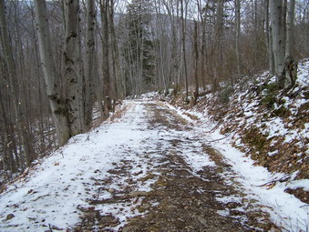 picture taken during a hike