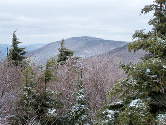 picture taken during a hike