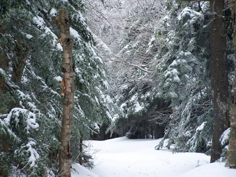 picture taken during a hike