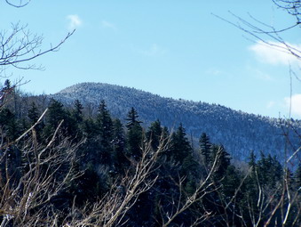 picture taken during a hike