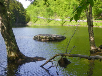 picture taken during a hike