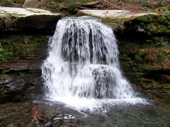 picture taken during a hike