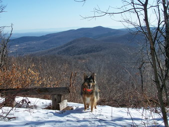 picture taken during a hike