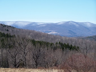 picture taken during a hike