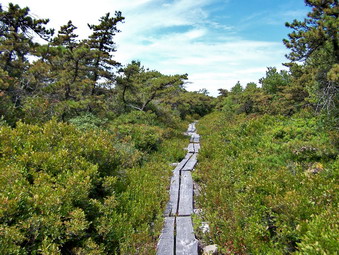 picture taken during a hike