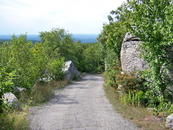 picture taken during a hike