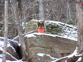 picture taken during a hike