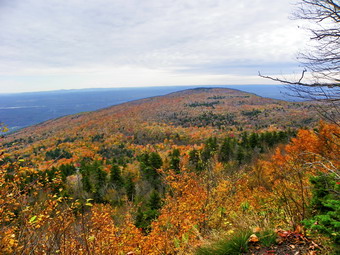 picture taken during a hike