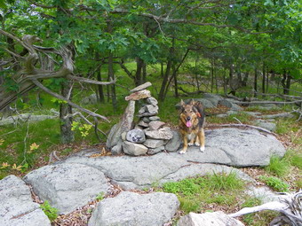 picture taken during a hike