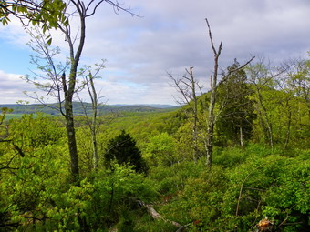 picture taken during a hike