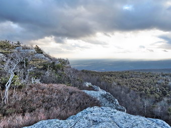 picture taken during a hike