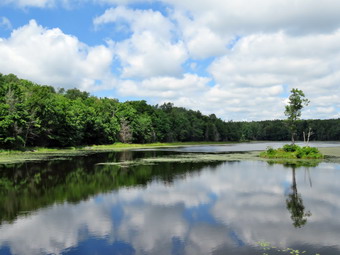 picture taken during a hike