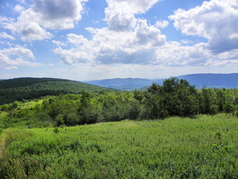 picture taken during a hike