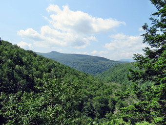 picture taken during a hike