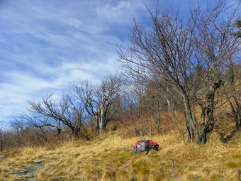 picture taken during a hike