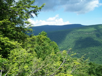 picture taken during a hike