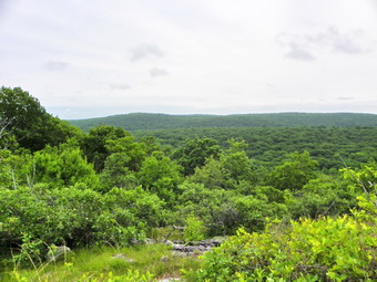 picture taken during a hike