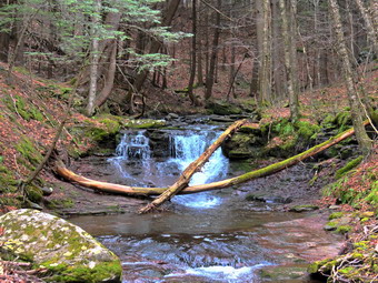 picture taken during a hike