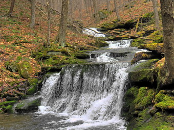 picture taken during a hike