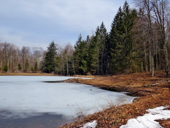 picture taken during a hike