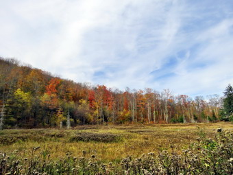 picture taken during a hike