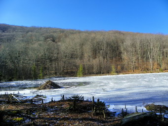 picture taken during a hike