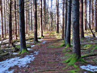 picture taken during a hike