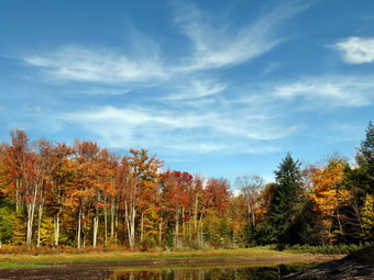 picture taken during a hike