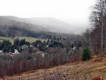 picture taken during a hike