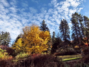 picture taken during a hike