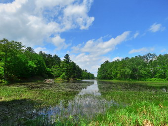 picture taken during a hike