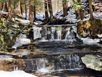 picture taken during a hike