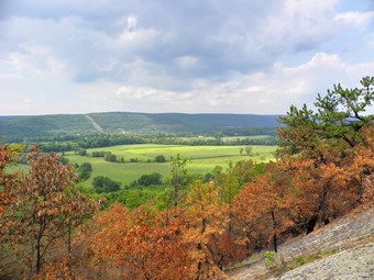 picture taken during a hike