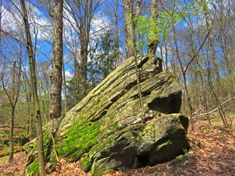 picture taken during a hike