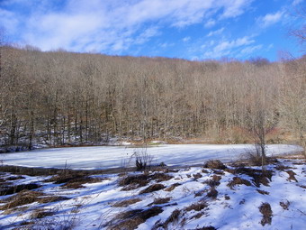 picture taken during a hike