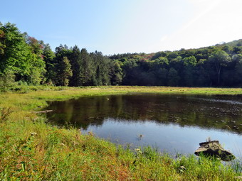 picture taken during a hike