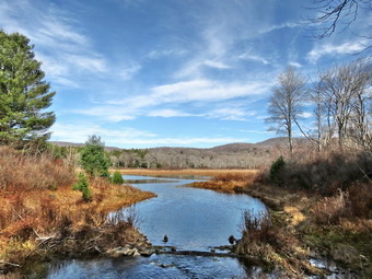 picture taken during a hike