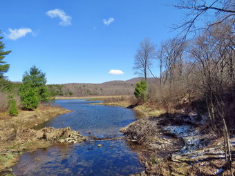 picture taken during a hike