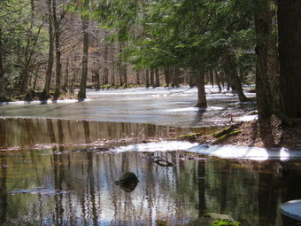 picture taken during a hike