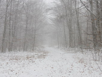 picture taken during a hike