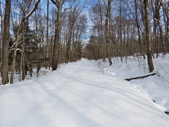 picture taken during a hike