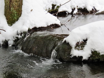 picture taken during a hike