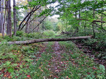 picture taken during a hike