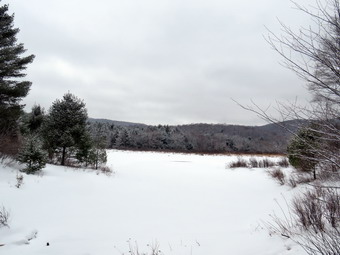 picture taken during a hike