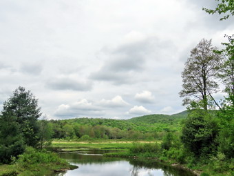 picture taken during a hike