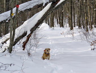 picture taken during a hike