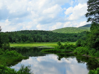 picture taken during a hike