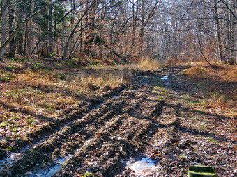 picture taken during a hike